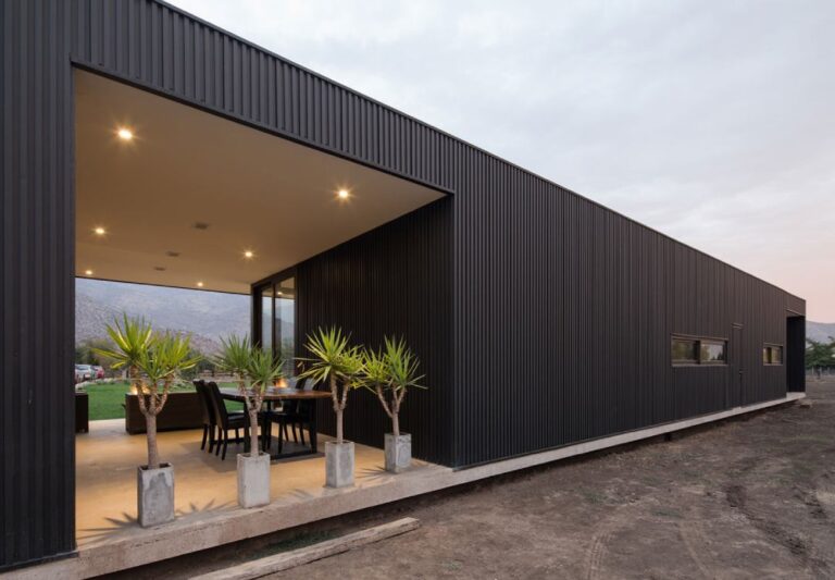 Read more about the article Tortor neque adpiscing diam